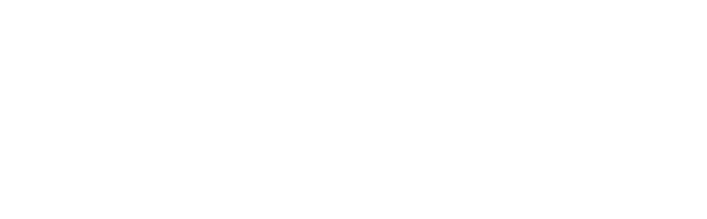 BLUUPRINT